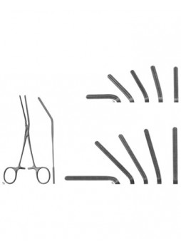 Tracheotomy, Cordiovascular and Thoracic Surgery